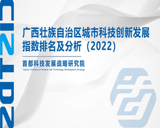 男女在曹B视频【成果发布】广西壮族自治区城市科技创新发展指数排名及分析（2022）